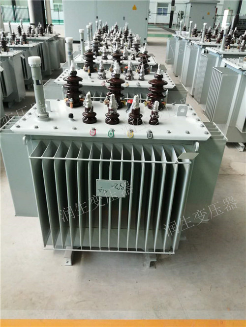 绥棱S20-1000KVA/10KV/0.4KV油浸式变压器